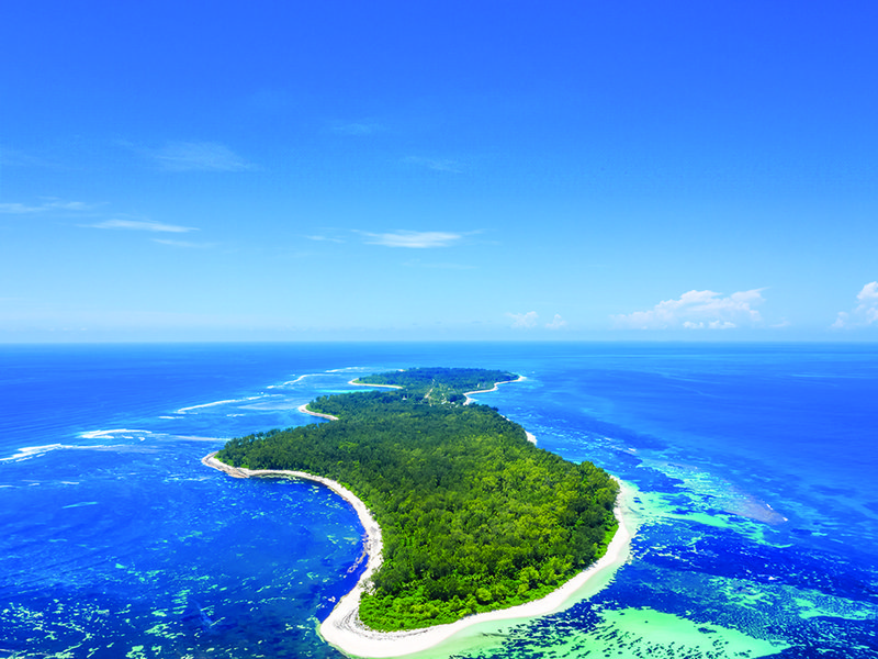 Chefs are able to select freshly harvested fruit and vegetables from the farm │ Desroches is home to a wide variety of flora and fauna │ Palm heart salad