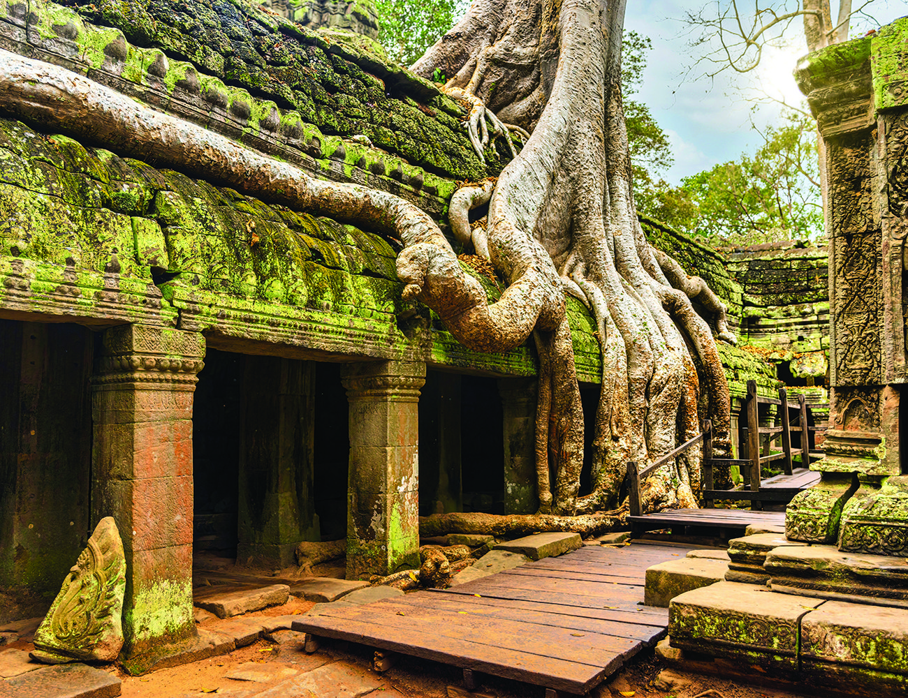 Strangler figs and silk cotton trees have merged with the structures at Ta Prohm