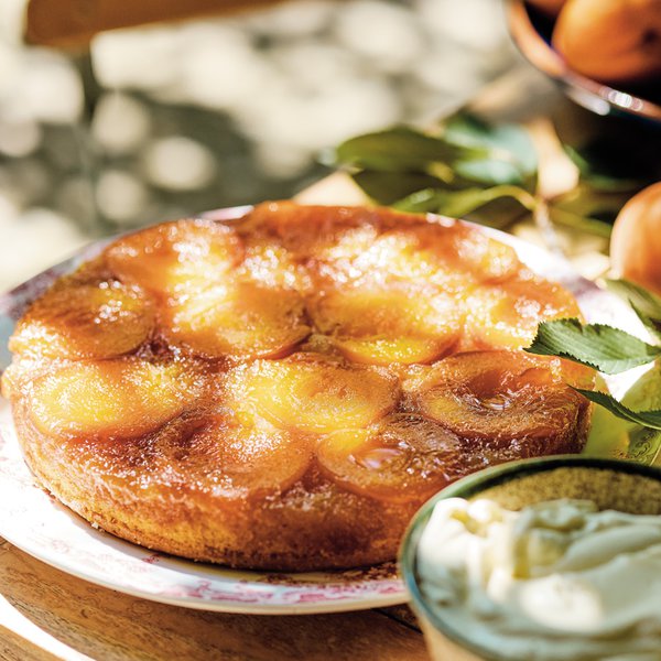 Apricot tart with lavender and honey crème fraîche