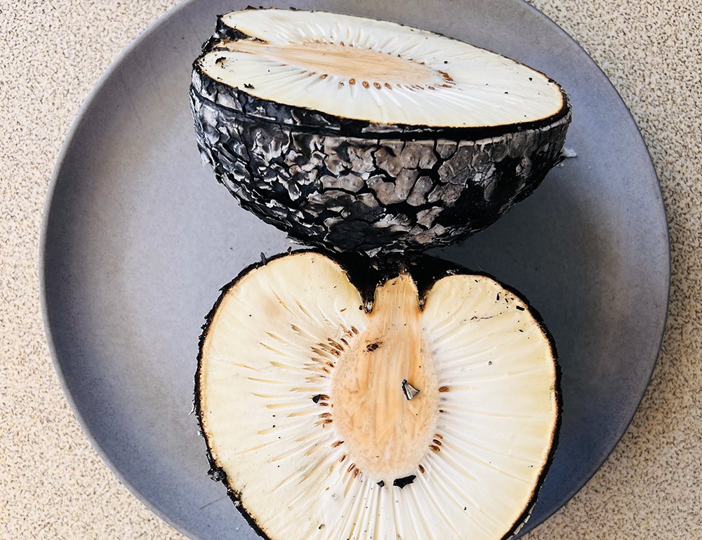 Charred breadfruit