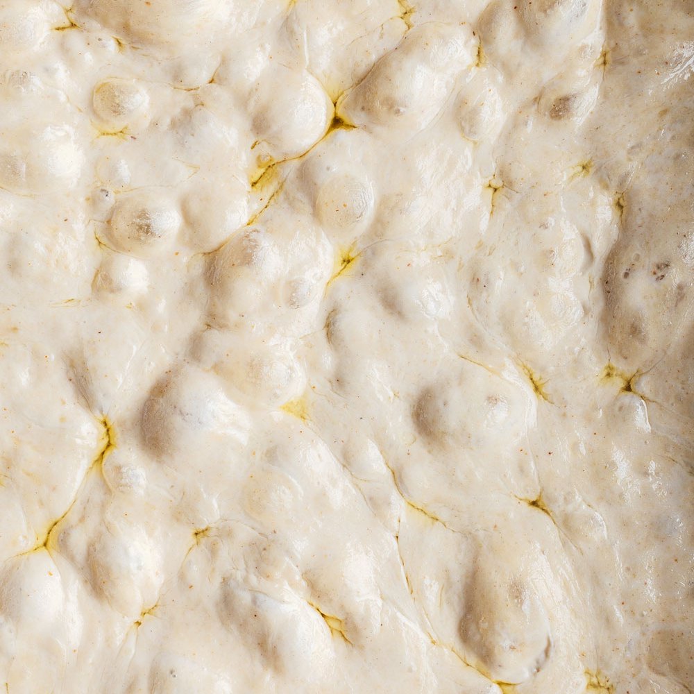 Basic focaccia dough