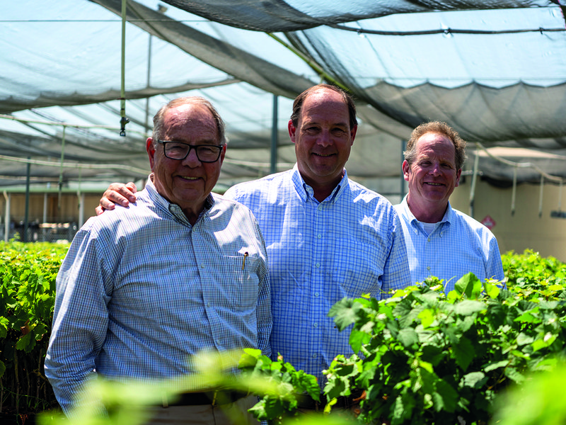 A fresh harvest │ Sunview Vineyards are expansive │Marko Zaninovich Sr with his sons Andrew and Marko │ Inside the nursery │ Selecting seeds for Sunview’s breeding programme
