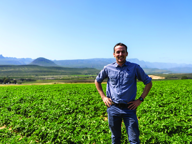 Ross Bergh the wild │ Large chipping potatoes are ideal for frying as they absorb oil well │ Craggy ranges of the Cederberg stand out in stark contrast to the neat rows of potato plants│Abby potatoes are a great all-rounder with a finger-like shape