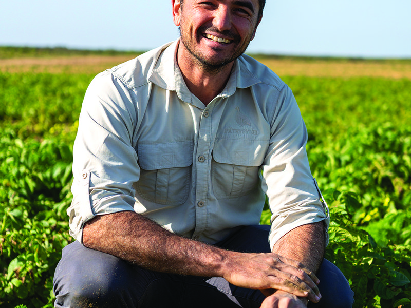 Harvesting potatoes │ Thomas Bergh │ Potatoes can take anywhere from 12-14 weeks  to reach maturity