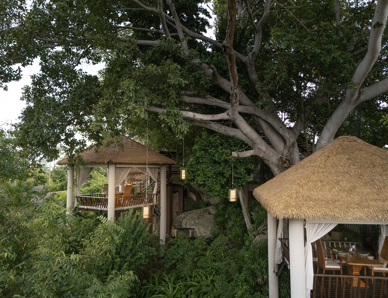 Tree Tops Dining offers seasonal tasting menus in an intimate, private dining set up in the canopy of a 120-year-old tree