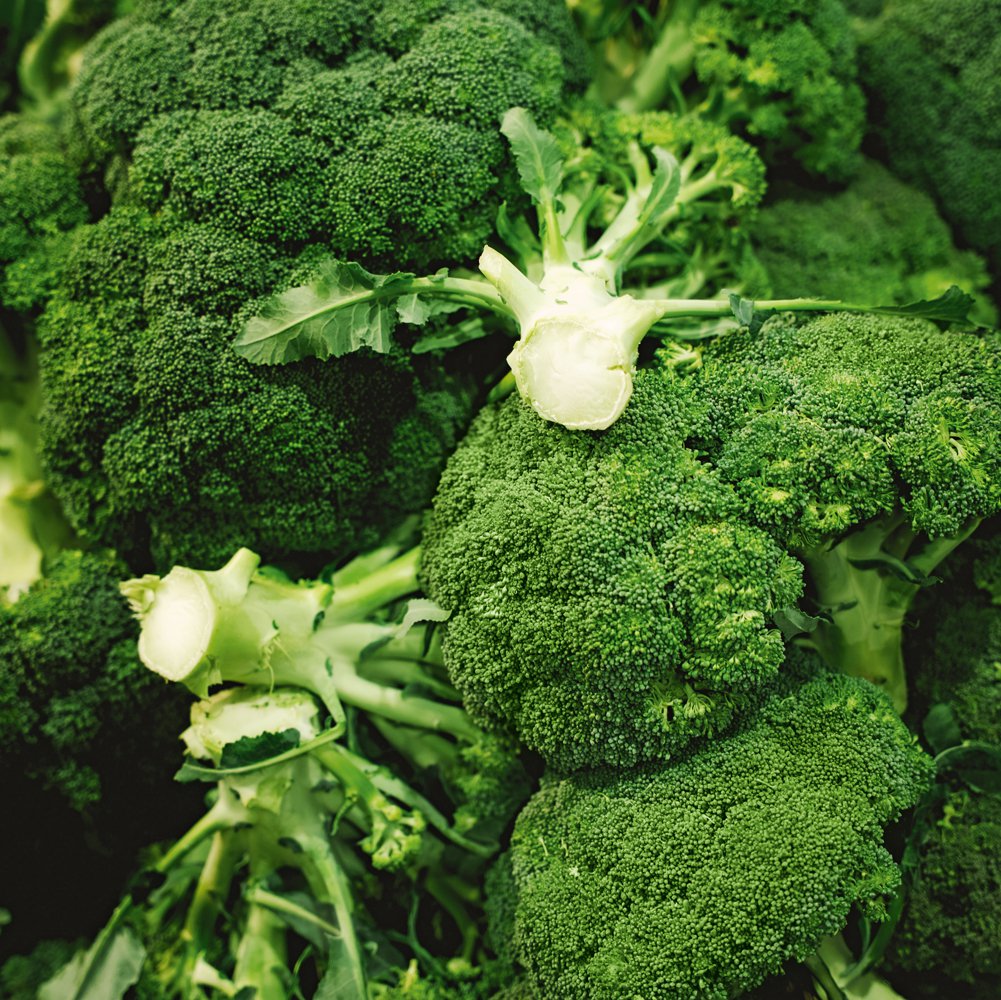 Broccoli is a relatively easy  crop to grow