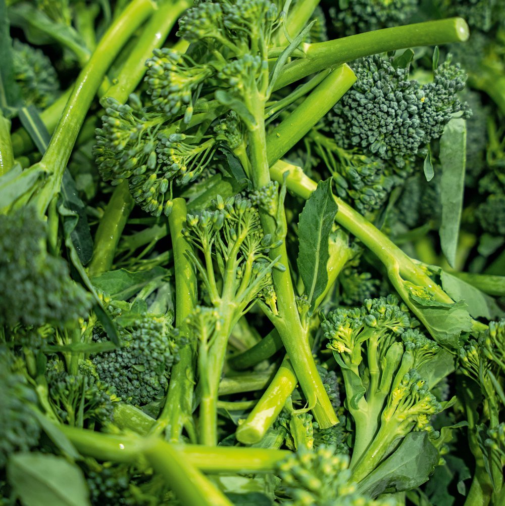 Tenderstem® broccoli washed, prepped and ready for our packs