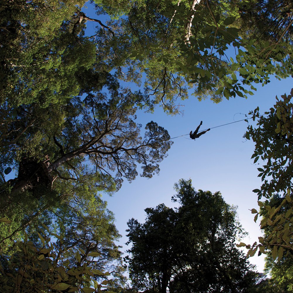Soaring through Tsitsikamma’s forest canopy