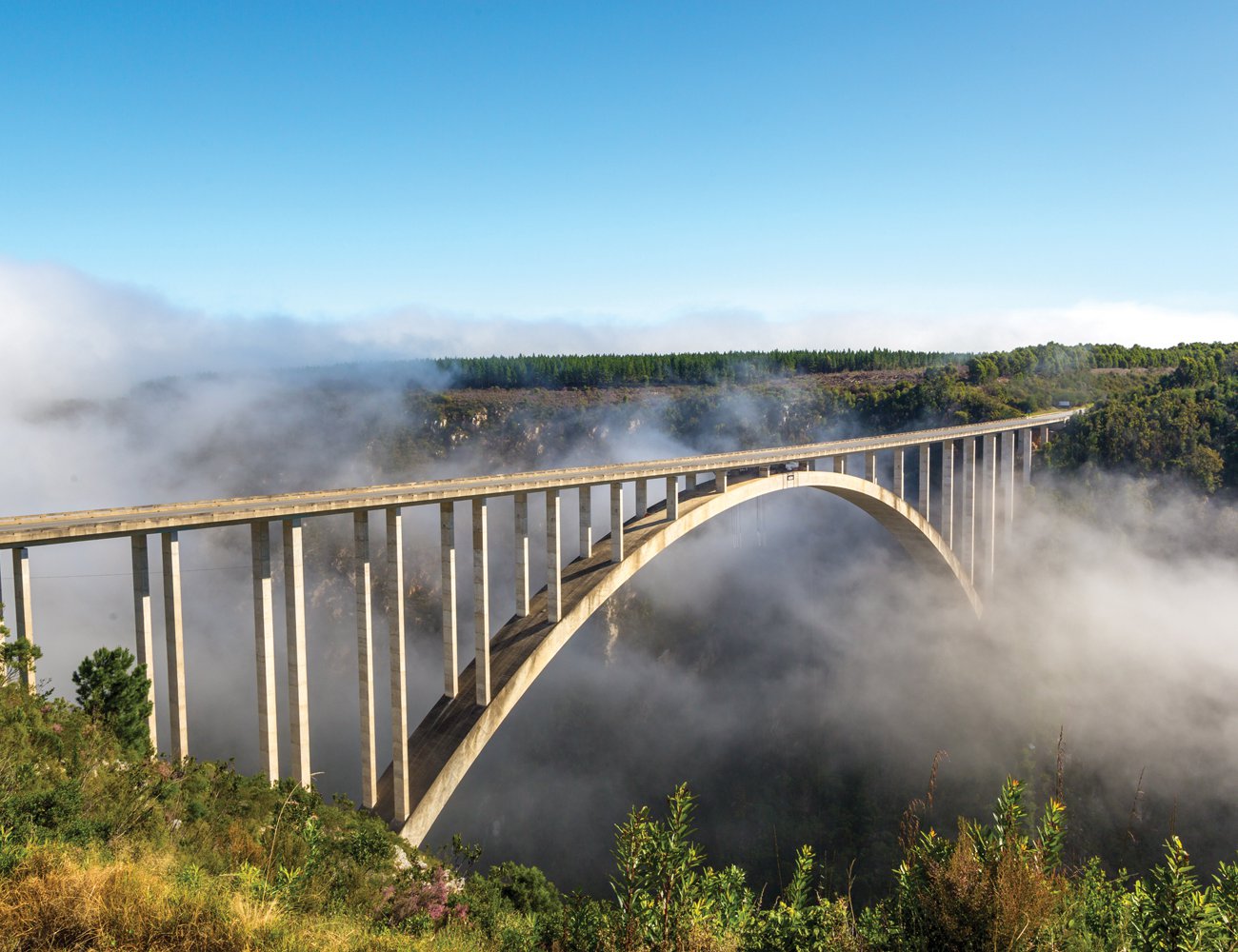 Bloukrans Bridge veiled in mist