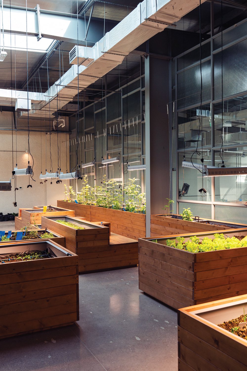 The Growhouse by One Life