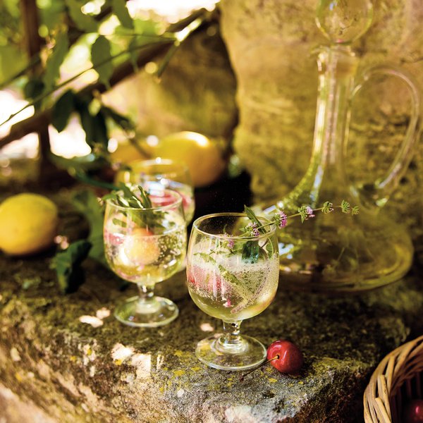 Fruit pressé