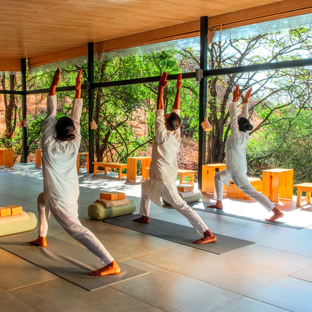 Hatha and Iyengar yoga classes are held every day in the morning and late afternoon