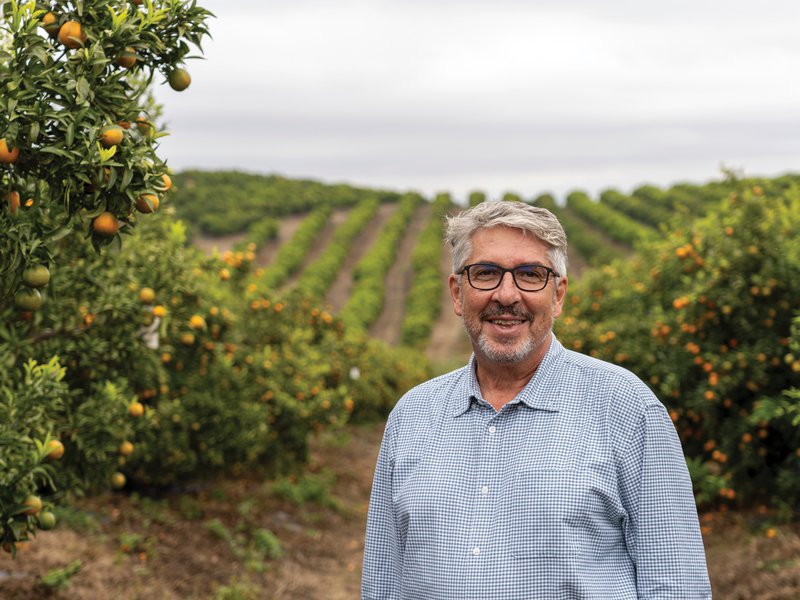 Surexport benefits from Huelva’s sunny climate and sandy soil, which create excellent growing conditions for strawberries │ All Moyca grapes are handpicked and trimmed before being sent to pack houses│ Derek Davis works for the Rio Tinto Fruit Company in Huelva from where we source organic citrus