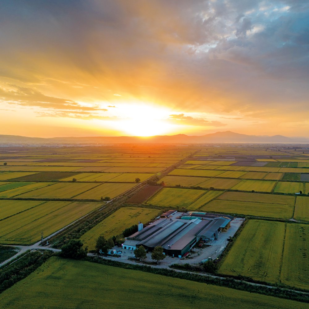 Mevgal’s partner dairy farms