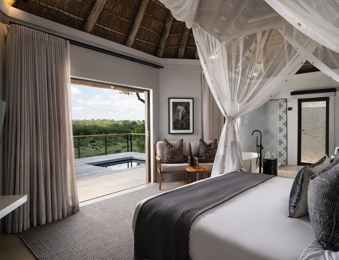 All the suites at Leopard Sands provide uninterrupted vistas of the park