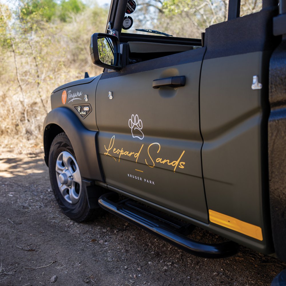 Morning and afternoon safaris offer different experiences
