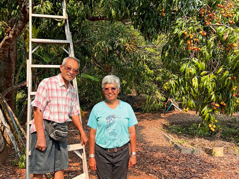 A bamboo tunnel curves through the mango farm, creating a shady, well-ventilated path│ At the heart of the land, a shrine stands│ Farming couple Issariya and Phaungpet work side by side│ A tiny mangosteen begins to form