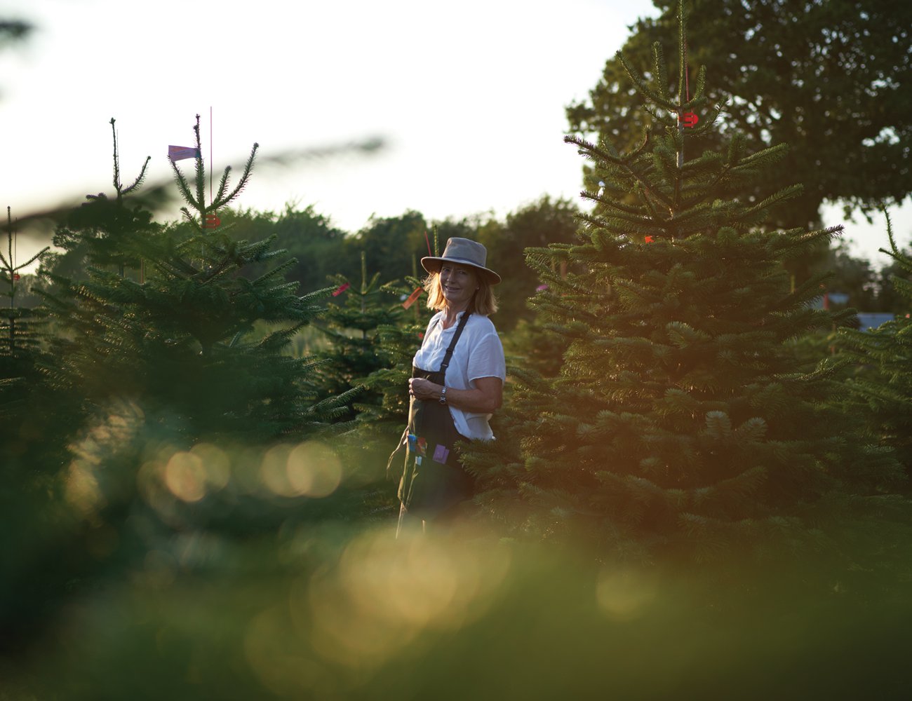 Trine Grice grows our Nordmann firs on the Danish coastline