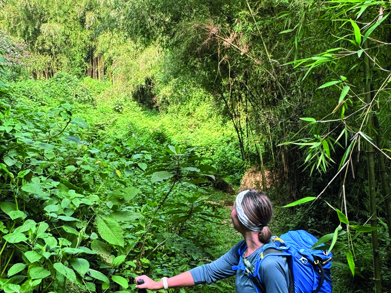 The  Summit Expeditions crew │ Up close with nature │ Helen Farmer │ Viewing of a lifetime