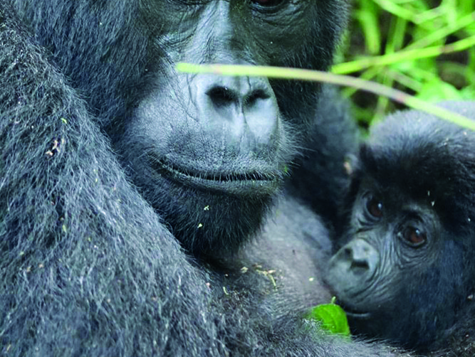 The  Summit Expeditions crew │ Up close with nature │ Helen Farmer │ Viewing of a lifetime