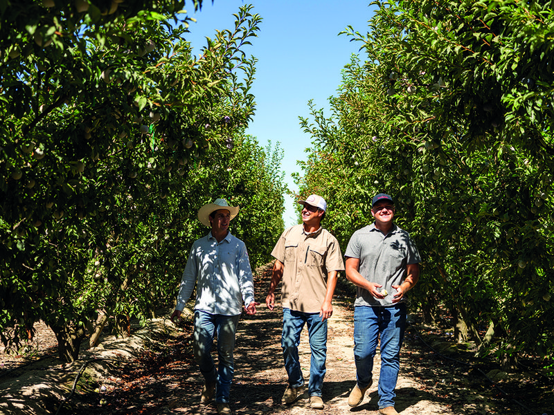 Multi-generational farmers of Family Tree Farms in California are thoroughly committed to producing “the best fruit you’ve ever tasted”  │ Muxlow, David Jackson, Daniel Jackson and Troy Jackson │ Tutura trellises allow for sunlight among the orchards │ Natural wax on stone fruit is best for flavour │ Eric Wuhl │  Troy, Grant and Ty
