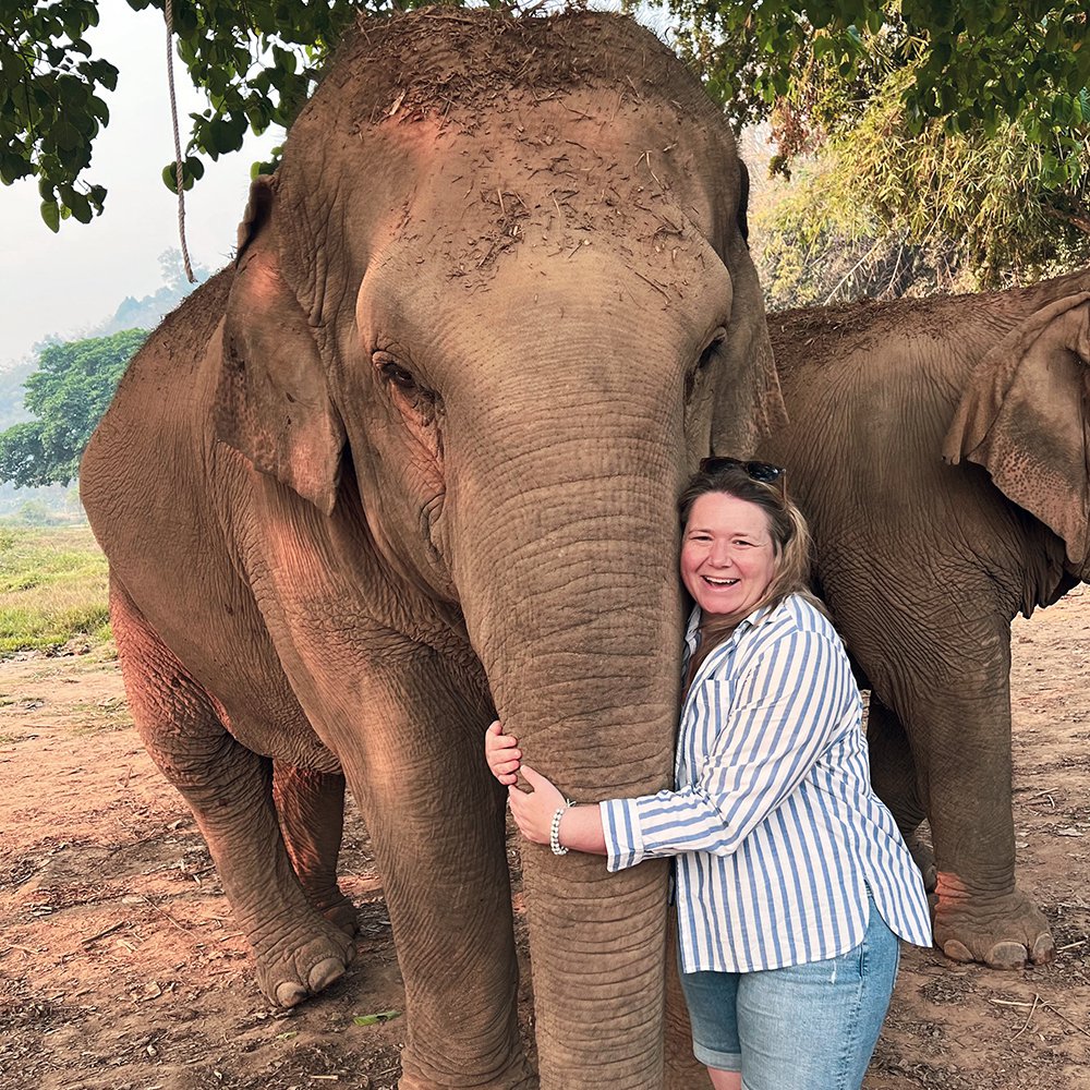 Rescued pachyderms are the highlight of a holiday here