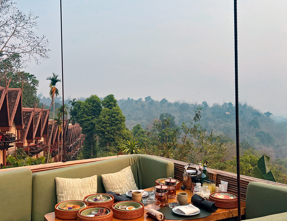 Breakfast in the treetops