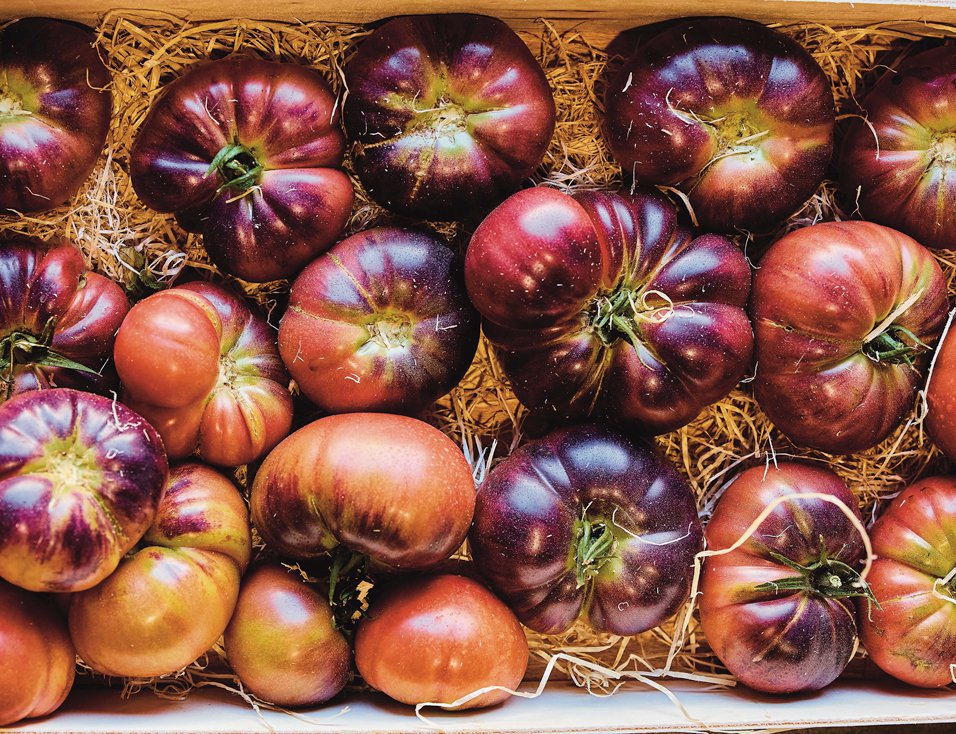 Heirloom tomatoes