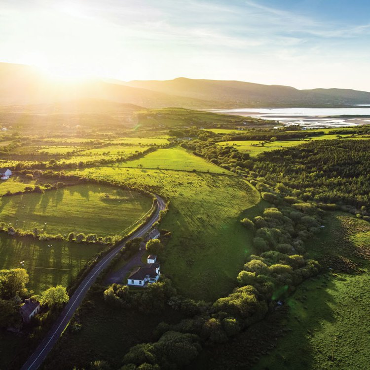Sustainable Ireland