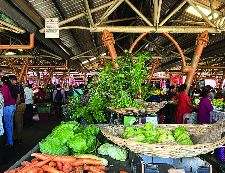 Rows of produce at Flacq Market