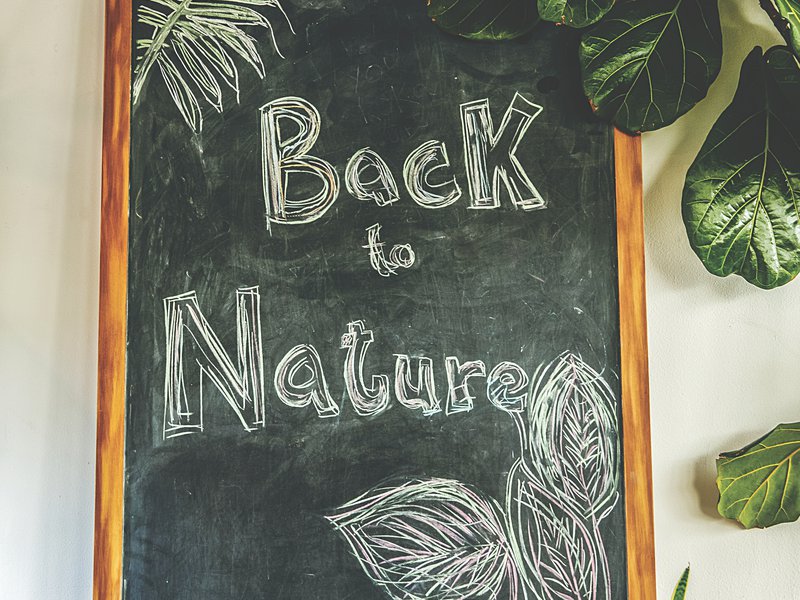 The café has several potted flowers and plants to celebrate the outdoors