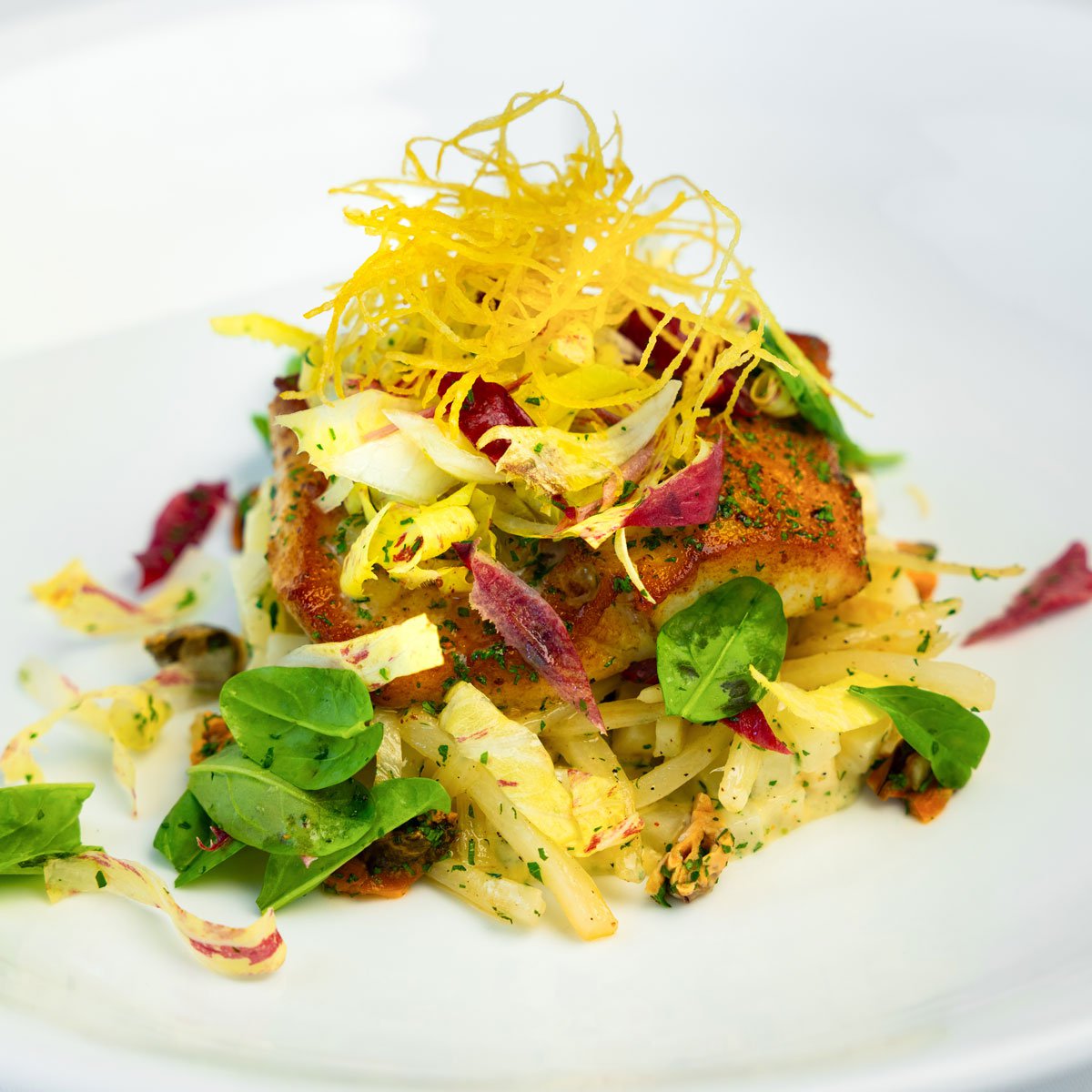 Turbot pavé on the bone gently poached in melted butter and fennel stalks. Served with celeriac and Castelfranco radicchio and mussel cream billy-by