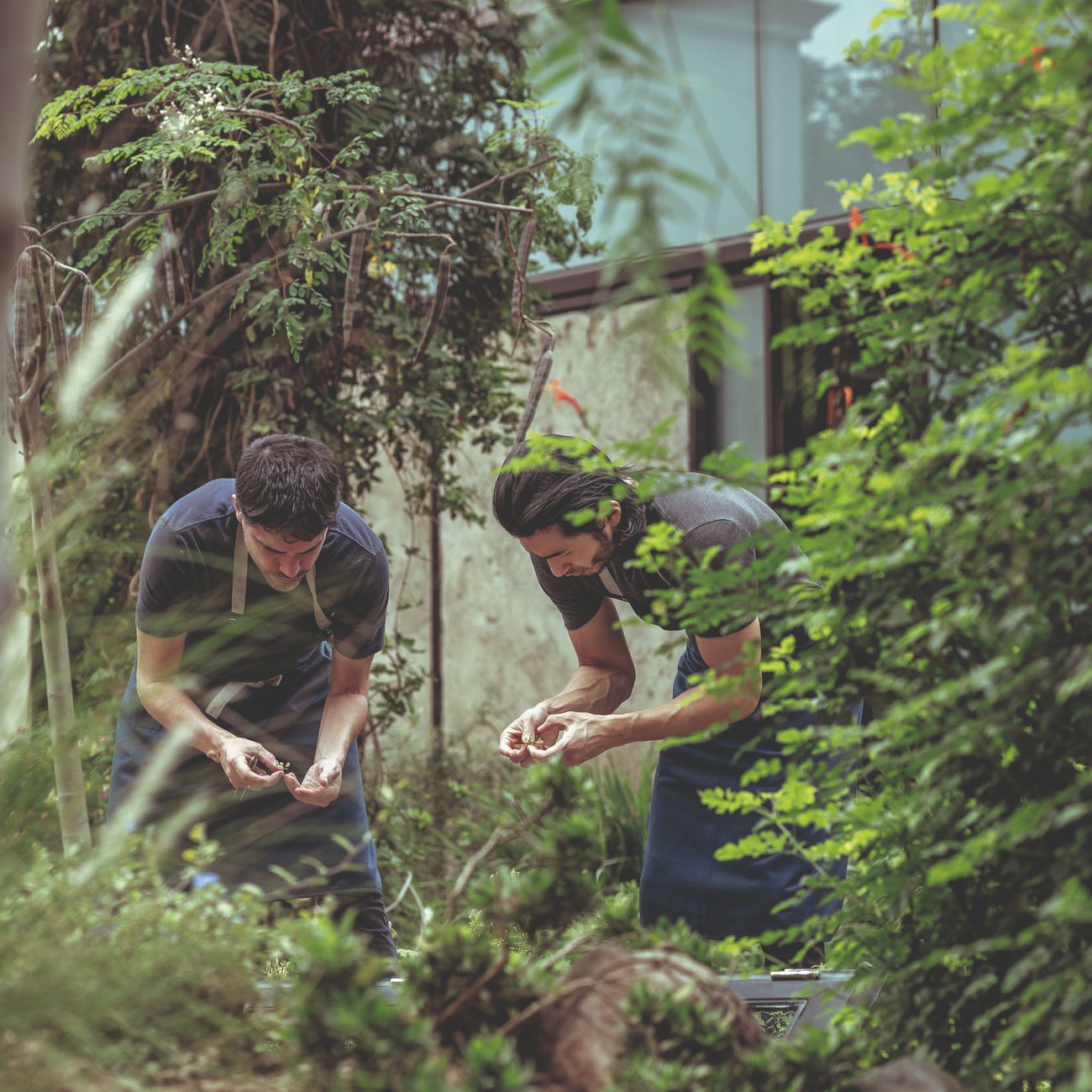 Chef Virgilio Martínez champions Peru’s biodiversity – bringing forgotten native crops and indigenous ingredients back to the table through his cooking
