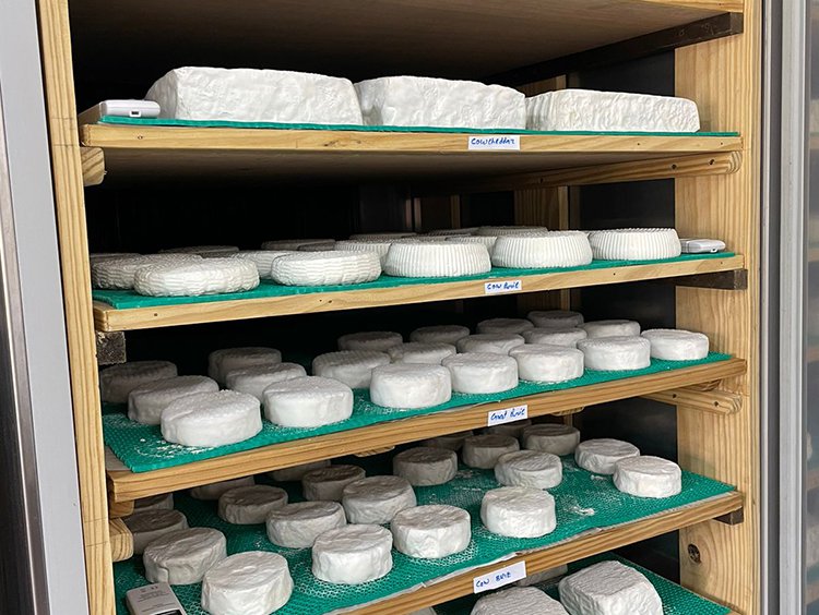 Saltwater pool | Experience fine dining under the stars at Sense on the Edge | Zighy Bay’s artisanal cheese factory crafts six cheeses including Cheddar, brie and thyme-infused goat’s cheese | With direct access to the beach and gorgeous sunrise views over the bay, a beachfront pool villa offers the perfect sanctuary for a relaxed holiday | Learn to make delicious falafel, muhammara and more at the Arabic cooking class