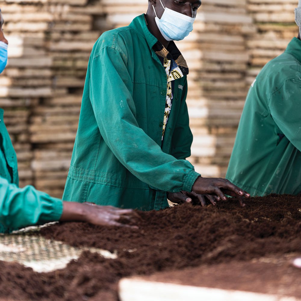 Soil being prepared for manual seeding