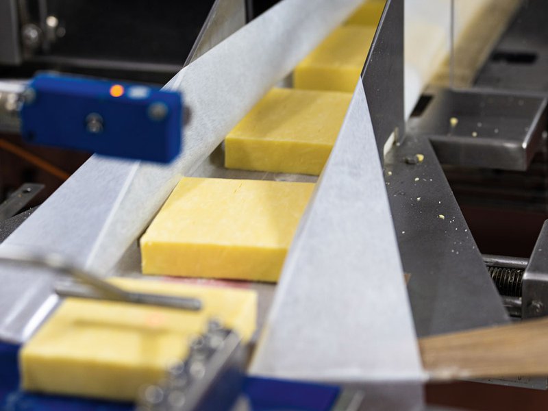 Salting the cheese by hand is an intuitive job | Herds graze on nutrient-rich grasses | SpinneysFOOD Mature Cheddar on the production line | Laurels Farmhouse