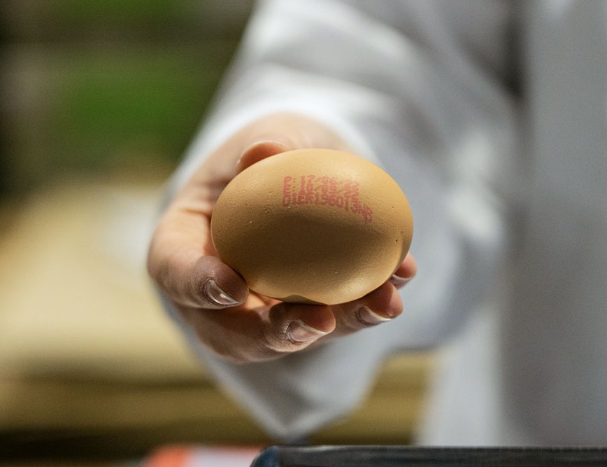 Each egg contains a code for traceability