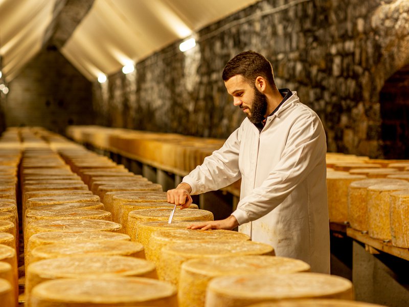 The picturesque village of Rocamadour sits on a cliff | Cyprian Duroux is a fourth-generation cheesemaker | Laguiole is a pressed, uncooked cheese that has been made since the 12th century | Alpine goats at La Borie d’Imbert, a farm renowed for making Rocamadour | Alain Guittard handcrafts Saint-Nectaire cheese | Rinds are washed by hand at Mons Cheese