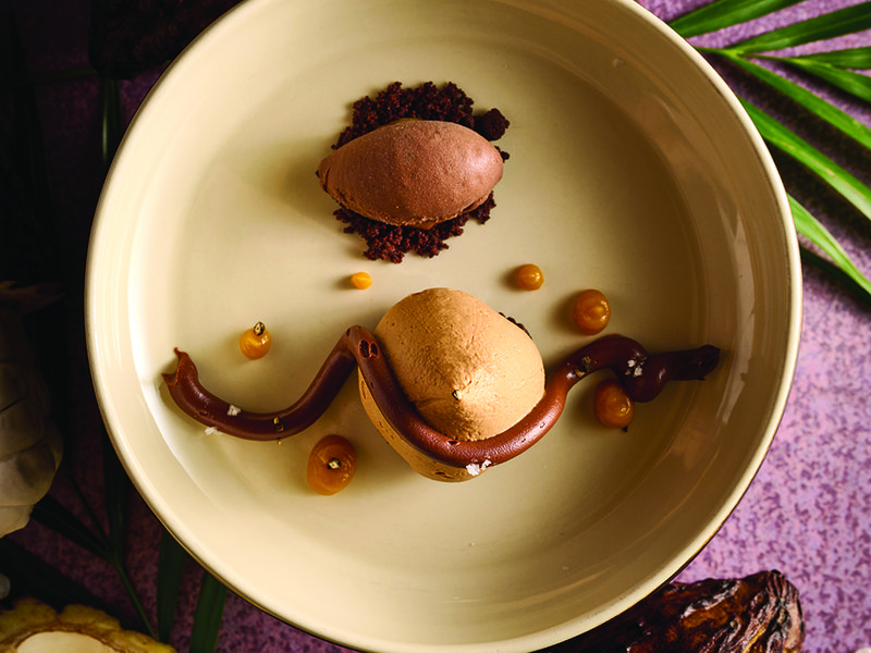 Amazónico’s 2700 origen andino is an ode to chocolate