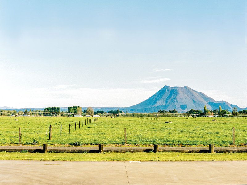 يقع منبع مياه أنتيبودز على هضبة بركان خامد.