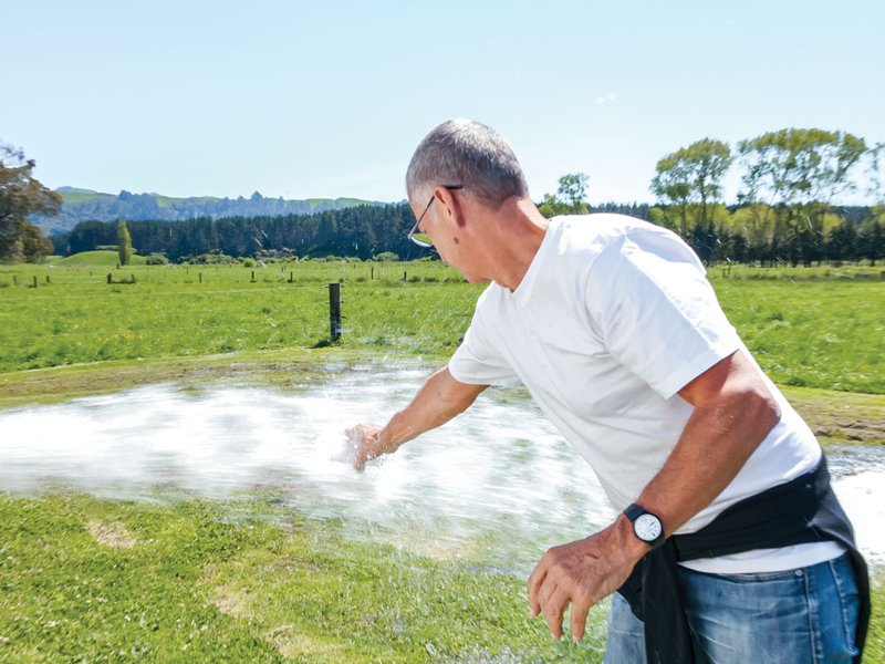 أسس سايمن وولي أول شركة في نيوزيلندا لإنتاج المياه المعدنية.