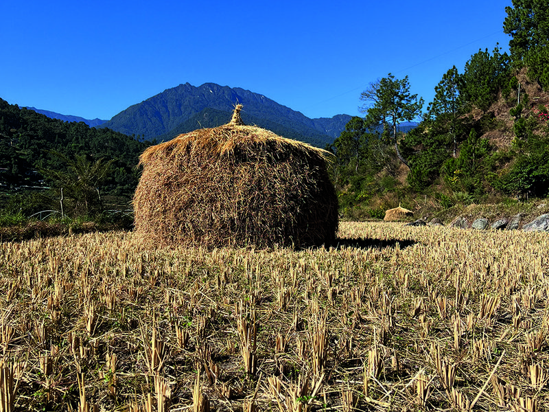 Harvested rice shaped like a stupa | One of the prayer wheels at the fertility temple | Chillies laze in the  sun – they’re dried on rooftops