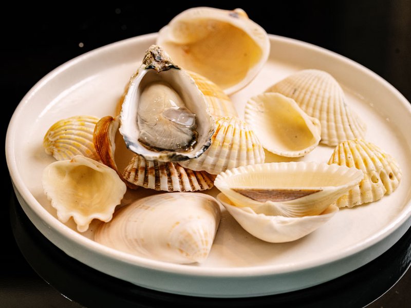 تمّ تزيين هذا الطبق بواسطة محار دبا بي والأصداف الشاطئيّة وقد استُمدّ الوحي لتصميمه من ابن الشيف راسل