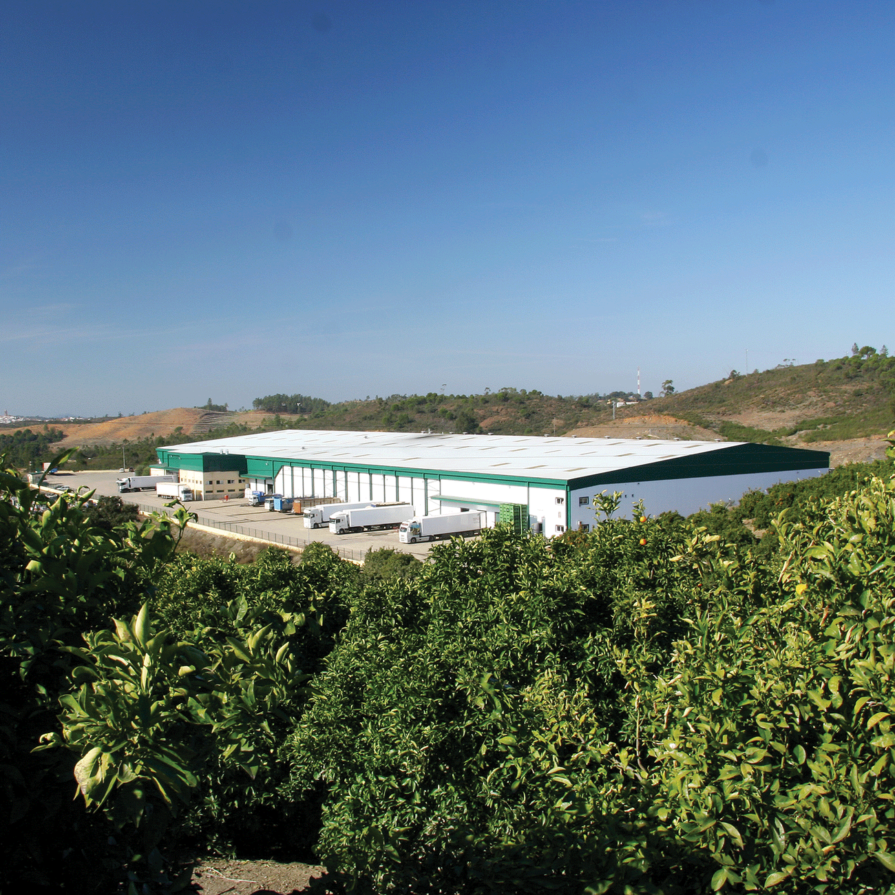 A packhouse amid the orchards reduces the company’s carbon footprint