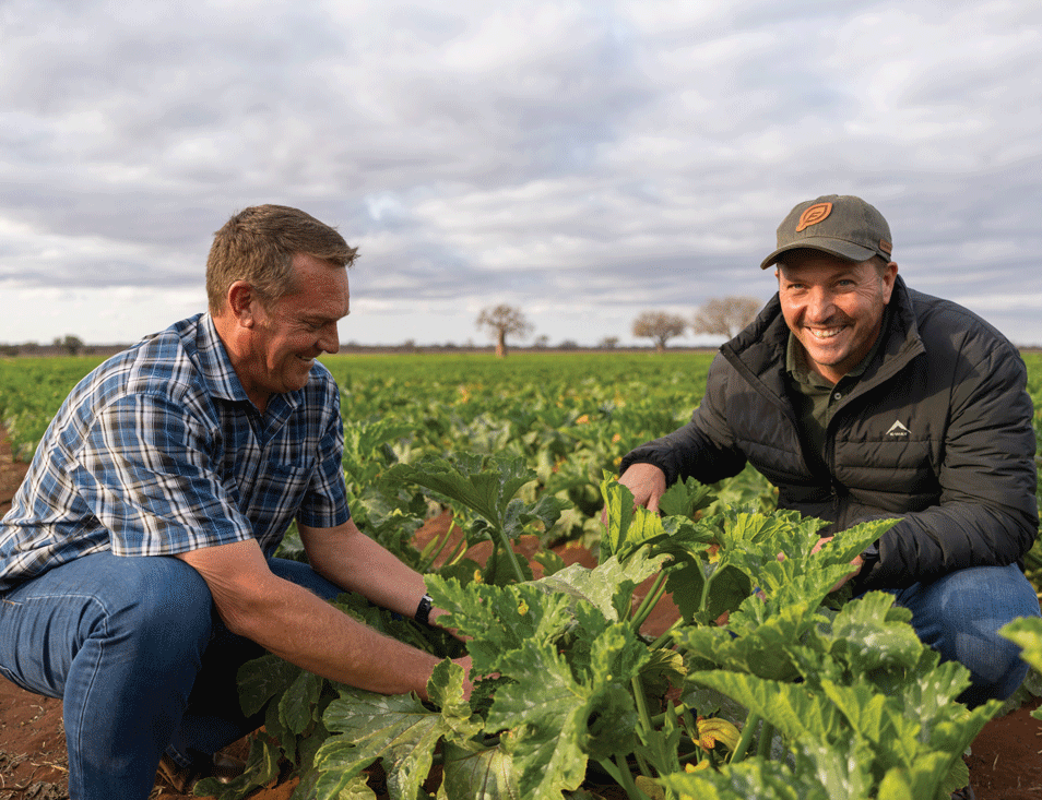 Bertus Otto and Raymond Da Costa are pleased with the baby marrow crop