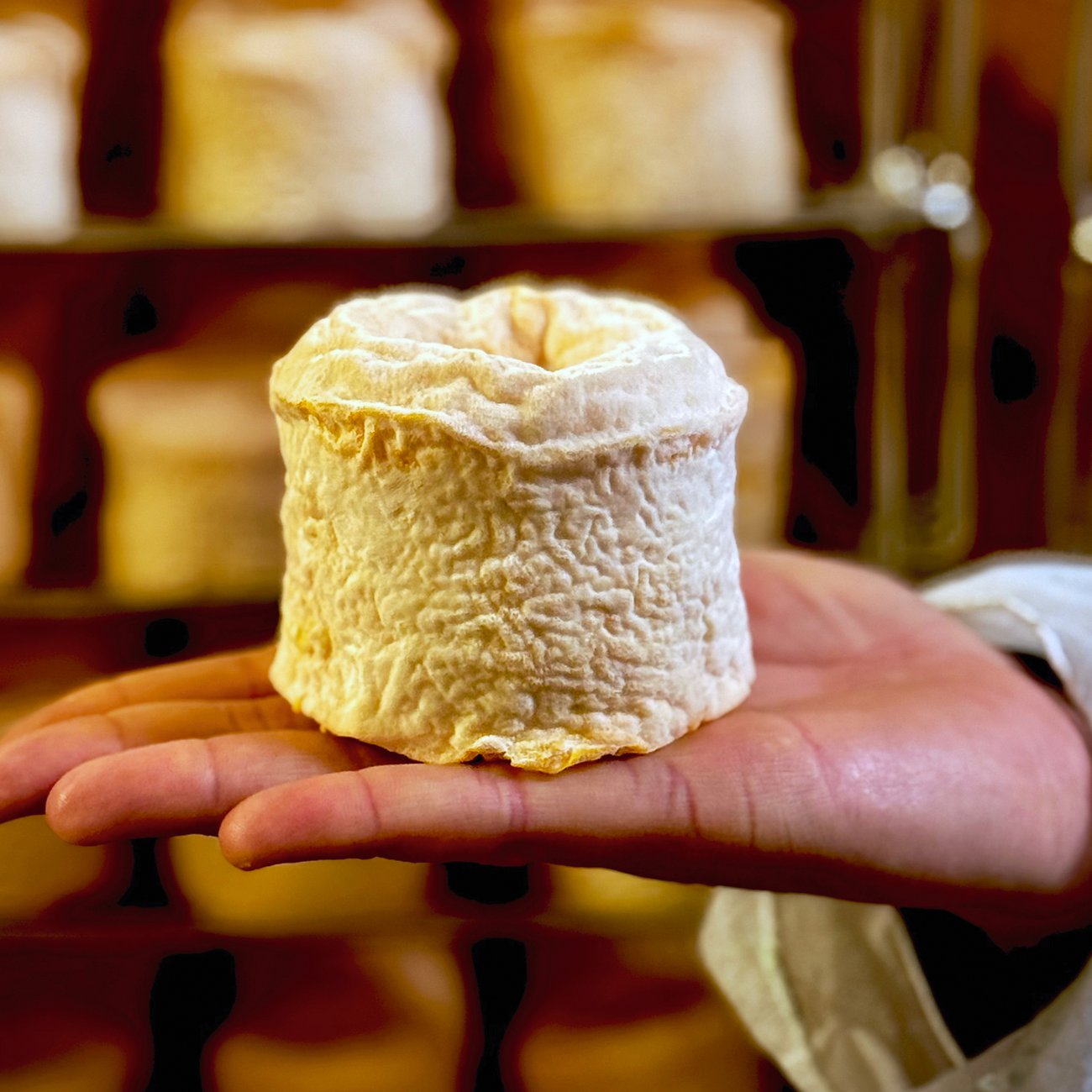 Langres, a washed-rind cow’s milk cheese, is instantly recognisable with its signature dip or “fountain”