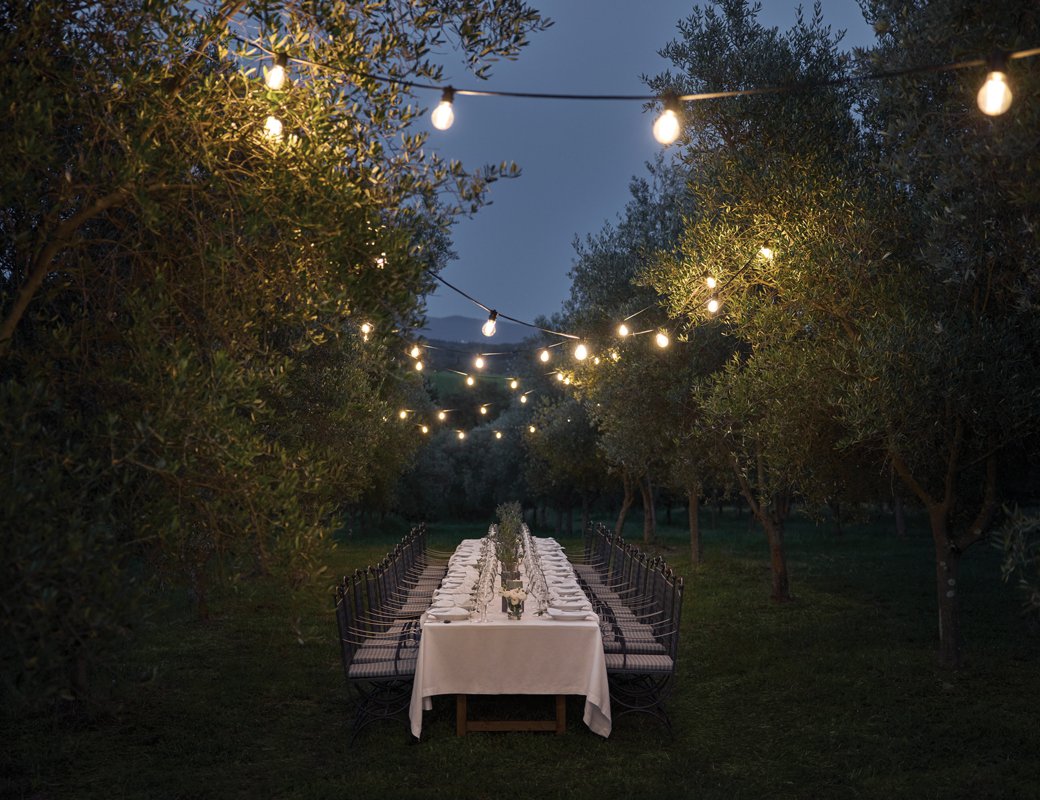 Dinner in the olive groves
