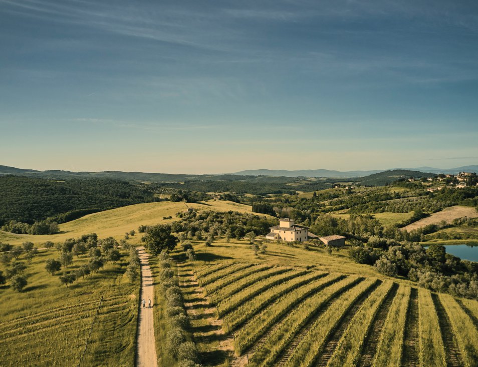 The Castello’s vineyards