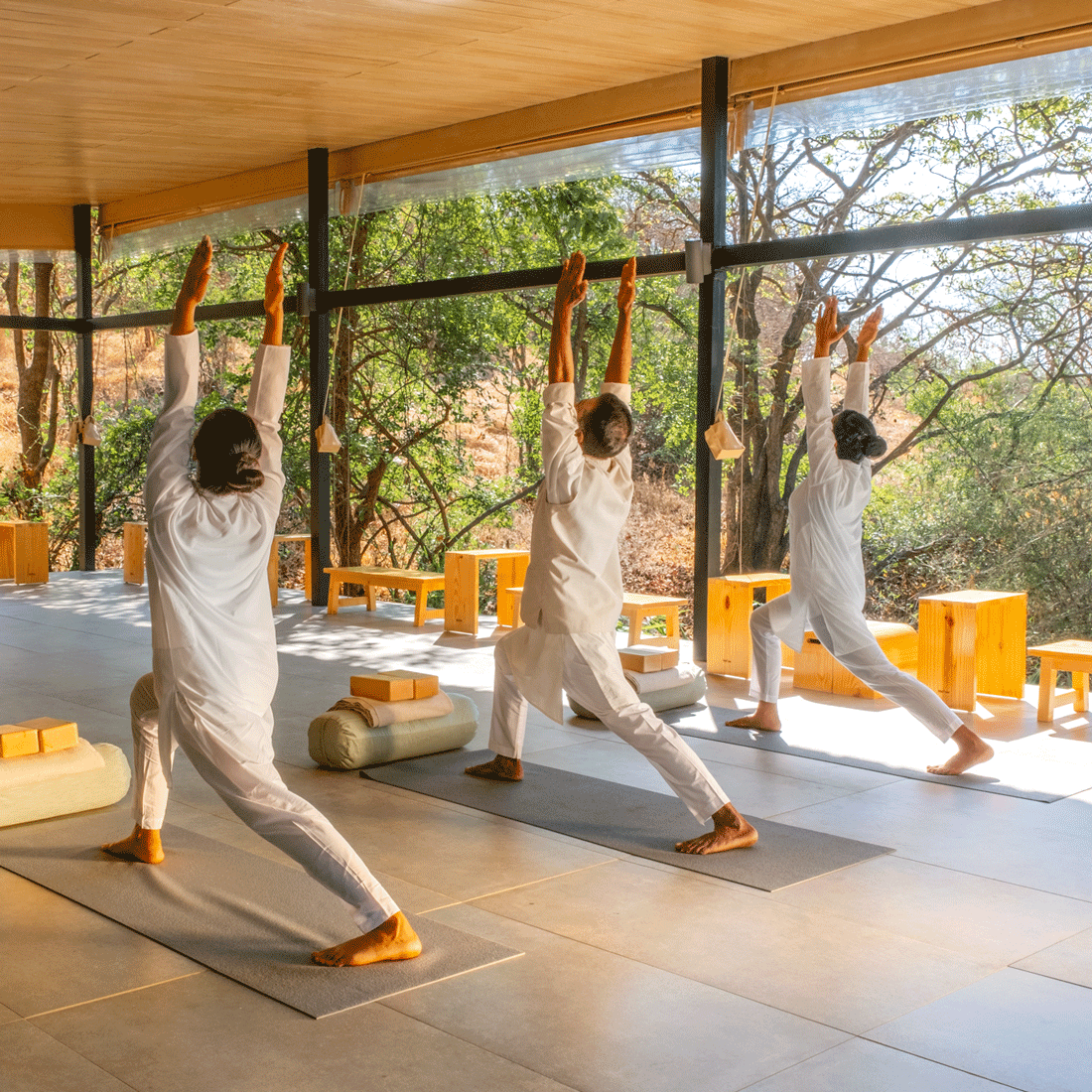 Hatha and Iyengar yoga classes are held every day in the morning and late afternoon