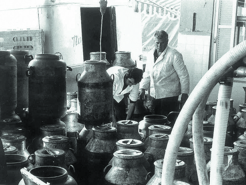 Some of Mevgal’s first employees | Spanikopita cigars with whipped feta and Greek yoghurt | A lot has changed at Mevgal over the years in terms of technology